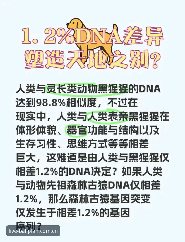 读懂挪威主帅赛前发言的完整指南：从“98.8%出线概率”到球场草皮的真实信号